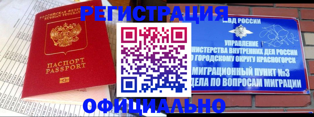 прописка поиск в Фролово